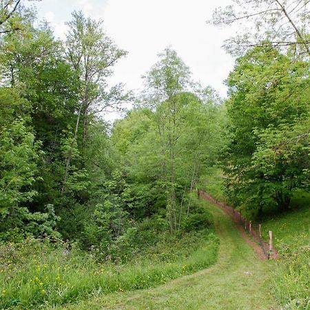 Moulin D'Entre Les Roches Bed & Breakfast Puivert Екстериор снимка