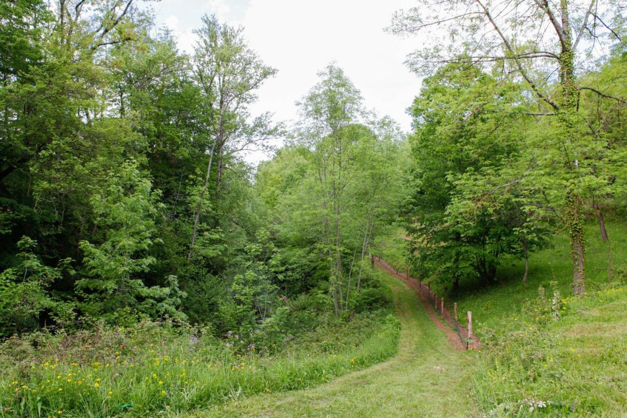 Moulin D'Entre Les Roches Bed & Breakfast Puivert Екстериор снимка